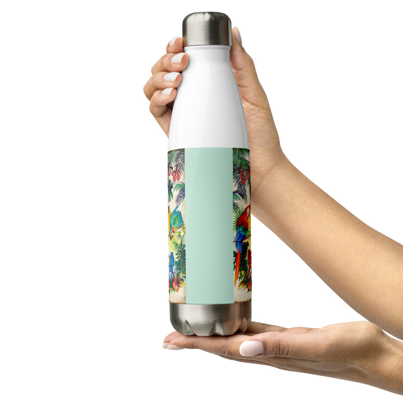 Stainless Steel Water Bottle Great Minds Clink Alike Parrots 17 ounce Jimmy Buffett Beach Gifts